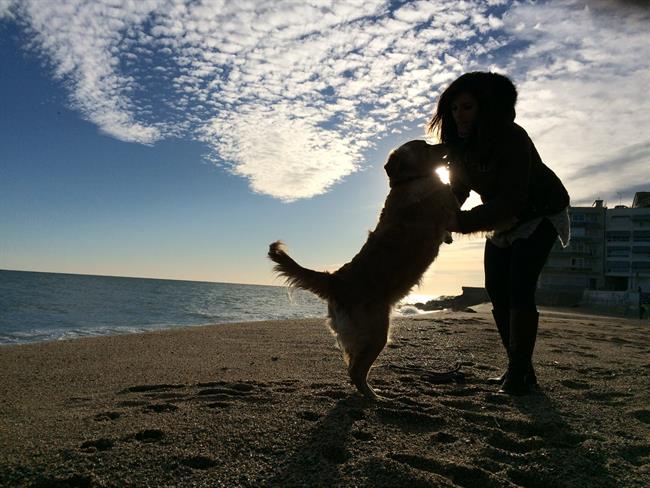 Mujer con un perro en la playa | FEC - Archivo ep mujerun perrola playa