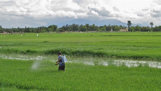 ep pesticidas campoarroz