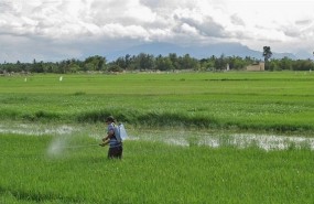 ep pesticidas campoarroz