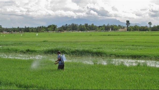 ep pesticidas campoarroz