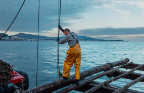 ep un hombre participa en la pesca de mejillones