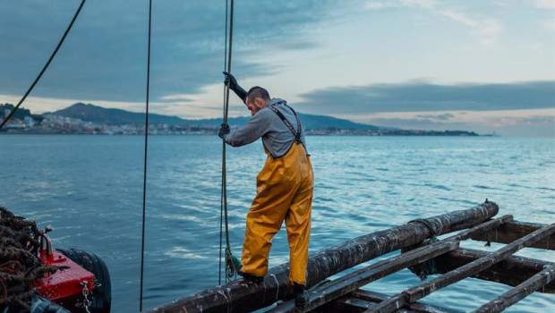 ep un hombre participa en la pesca de mejillones