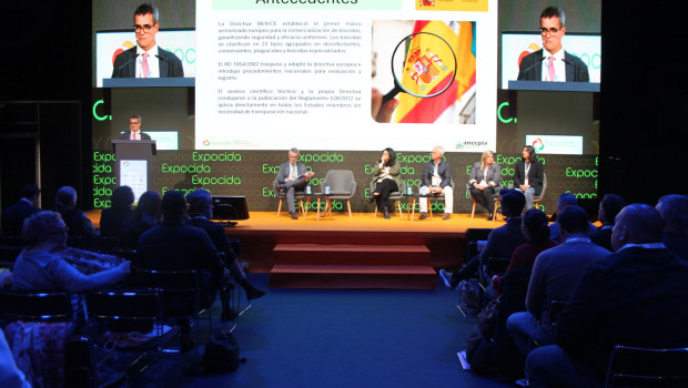 expocida 2026 santiago gonzalez 