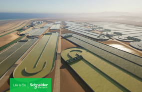 brilliant planet algae 1 png