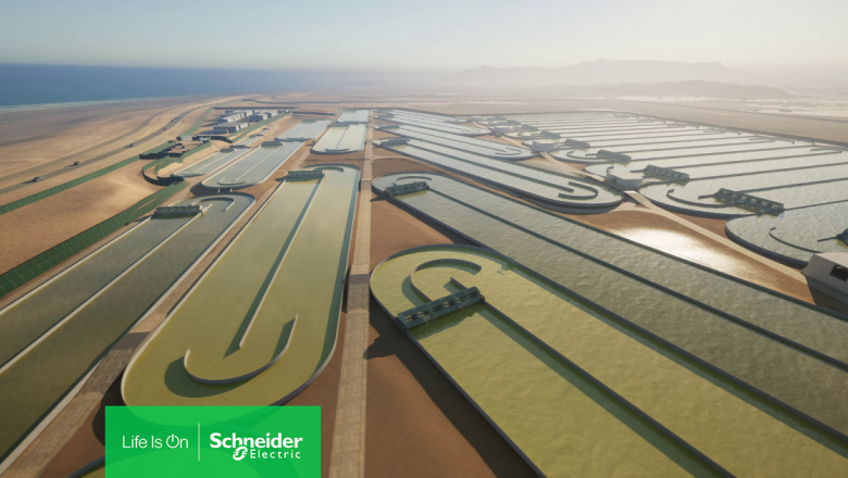 brilliant planet algae 1 png