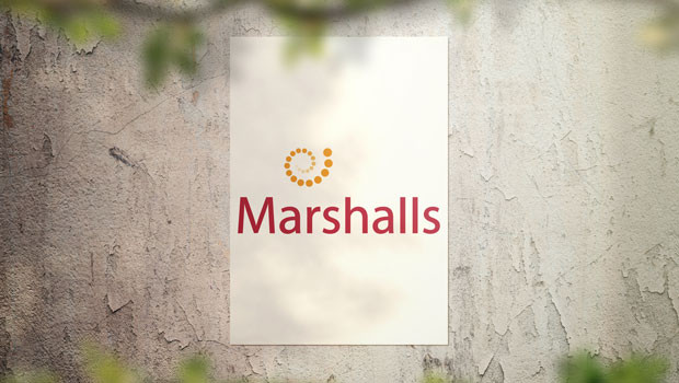 dl marshalls ladrillos pavimentación césped jardines calzadas al aire libre materiales de construcción suministros productos logo ftse 250