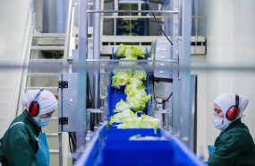 ep alcanzado un preacuerdo en la negociacion del convenio colectivo de verdifresh