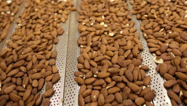 ep archivo almendras producidas por bain ep archivo almendras producidas por bain