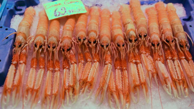 ep archivo   cigalas en un mercado