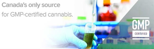 Captura de pantalla de farmacéutica Tilray, fármacos a base de cannabis | TILRAY ep capturapantallafarmaceutica tilray farmacosbasecannabis