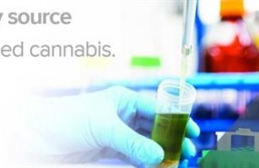 ep capturapantallafarmaceutica tilray farmacosbasecannabis