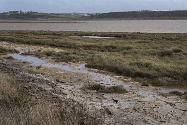 Denuncian vertidos a la Ría de Huelva procedentes de fosfoyesos de Fertiberia | GREENPEACE ep denuncian vertidosla riahuelva procedentesfosfoyesosfertiberia