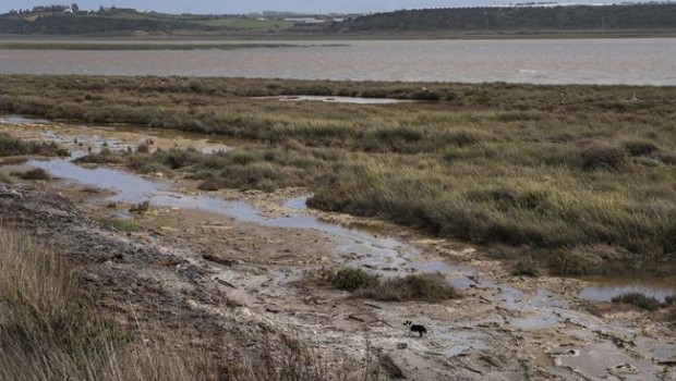 ep denuncian vertidosla riahuelva procedentesfosfoyesosfertiberia