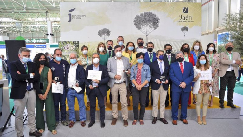 ep entrega de los premios de aemo