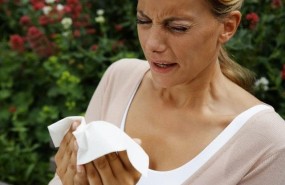 ep estornudo alergia polen