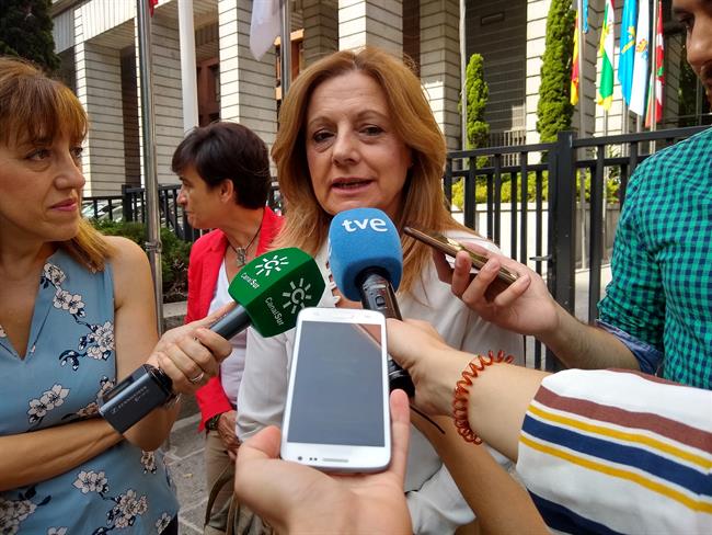 La consejera de Salud, Marina Álvarez, a su llegada al CISNS | Europa Press ep la consejerasalud marina alvarez allegadacisns