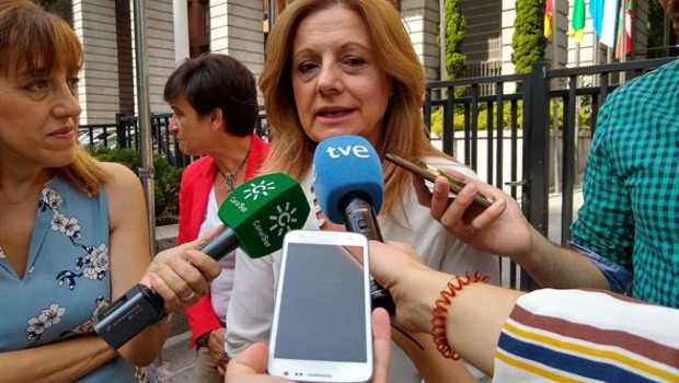 ep la consejerasalud marina alvarez allegadacisns