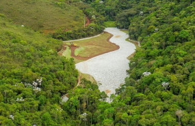 ep la minera brasilena vale gana 220 millones en el primer trimestre frente a las perdidas del ano