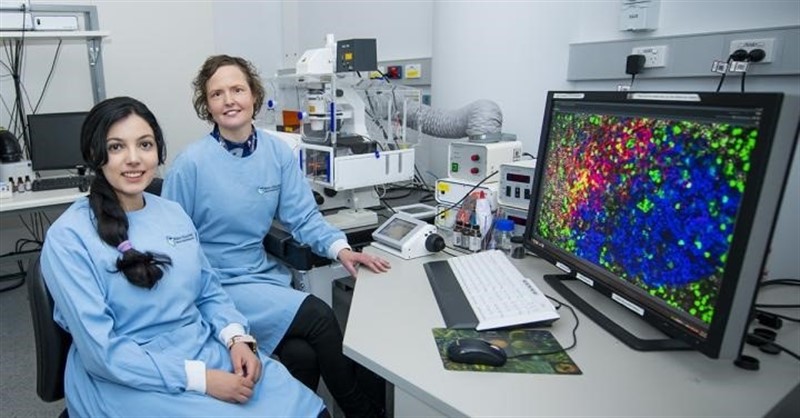 Los investigadores del Instituto Walter y Eliza Hall, la Dra. Joanna Groom (Izq.) y la Sra. Amania Sheikh (Drch) han identificado un interruptor molecular que afecta las respuestas inmunes a las infecciones virales que podrían conducir a mejores vacunas. | INSTITUTO WALTER Y ELIZA HALL, AUSTRALIA ep los investigadoresinstituto waltereliza hall la dra joanna groom izq ysra amania sheikh drch han identificadointerruptor molecularafectarespuestas inmuneslas infecciones viralespodrian conducirmejores vacunas