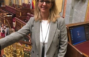 ep merc perea diputada socialista