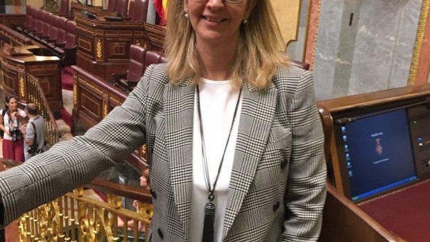 ep merc perea diputada socialista
