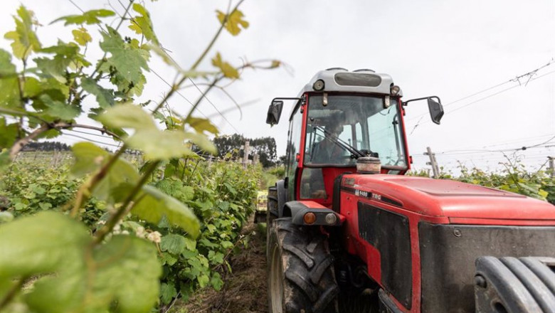 ep un trabajador montado en un tractor trabaja en los vinedos