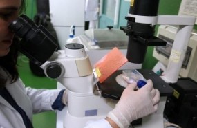 ep unalas investigadorasla uva
