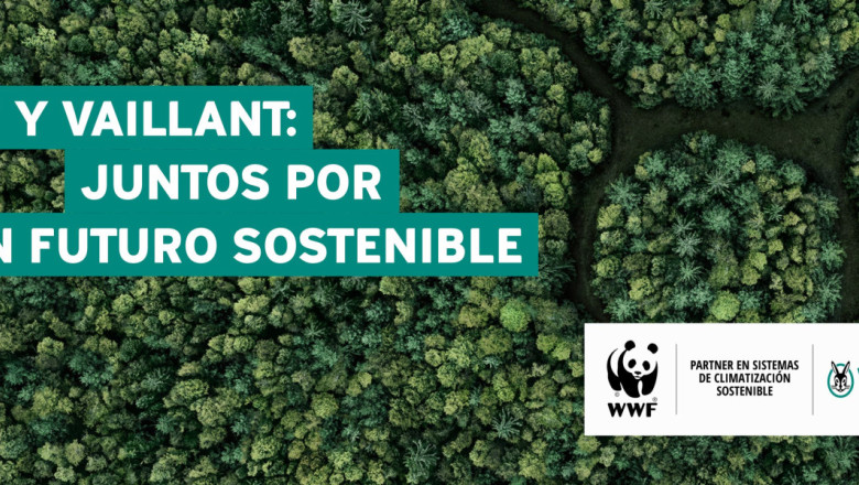 imagen wwf vaillant 0124 20240229201047 