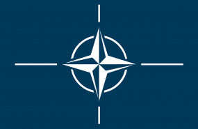 nato dl nato dl
