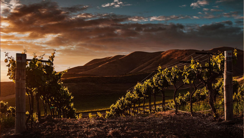 obergo propone nuevos maridajes para su chardonnay de obergo en la temporada primaveral 