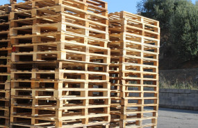 123   2023 05 18t144135056