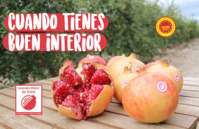 1572858595 dopgranadaselche