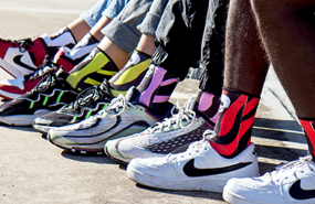 1606926717 zebra model 1 1606926717 zebra model 1