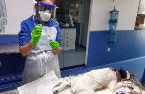 1614266542 hospital guadiamar01