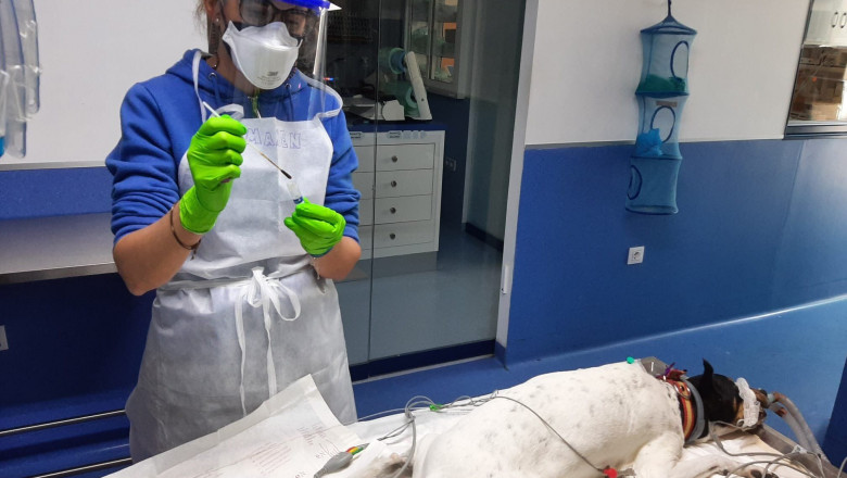 1614266542 hospital guadiamar01