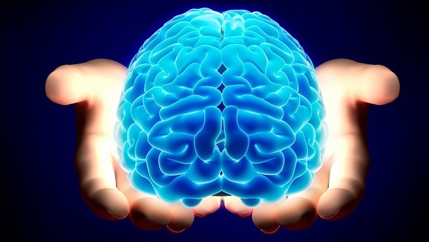 Cerebro inteligente genio