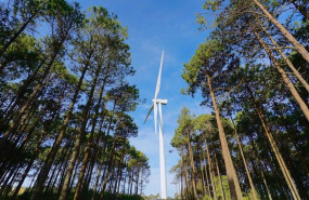 ep archivo   parque eolico de iberdrola 20240615104504