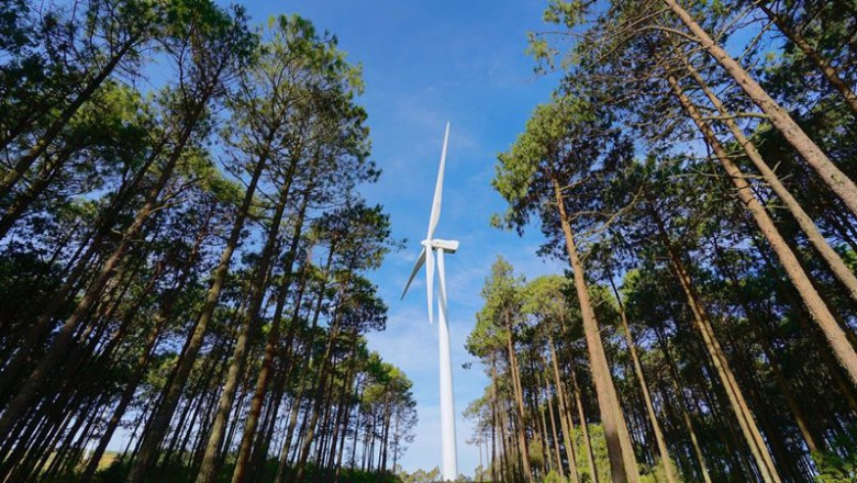 ep archivo   parque eolico de iberdrola 20240615104504