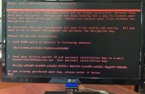 ep ciberataqueransomware expetrpetya