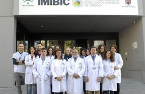 ep investigadoresinstituto maimonidesinvestigacion biomedicacordoba