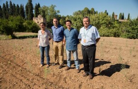 ep la alhambra recuperaesparrago verde