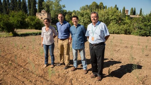 ep la alhambra recuperaesparrago verde