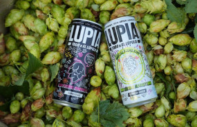 ep lupia la nueva marca de cervezas de hijos de rivera