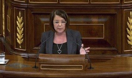 ep sofia hernanz diputadapsoe