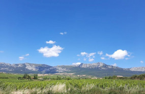 ep vinedos en laguardia rioja alavesa con la sierra de cantabria al fondo