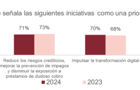 imagen1 20250114141926 imagen1 20250114141926