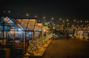 imagen 1 20241129144536 imagen 1 20241129144536