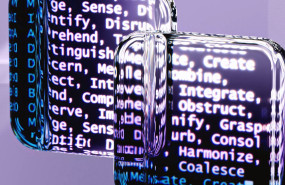 pexels photo 18069696 pexels photo 18069696