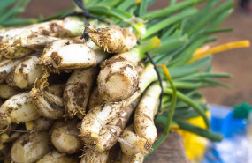 1580728772 cal otada tarragona