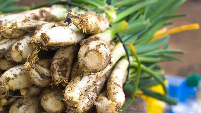 1580728772 cal otada tarragona